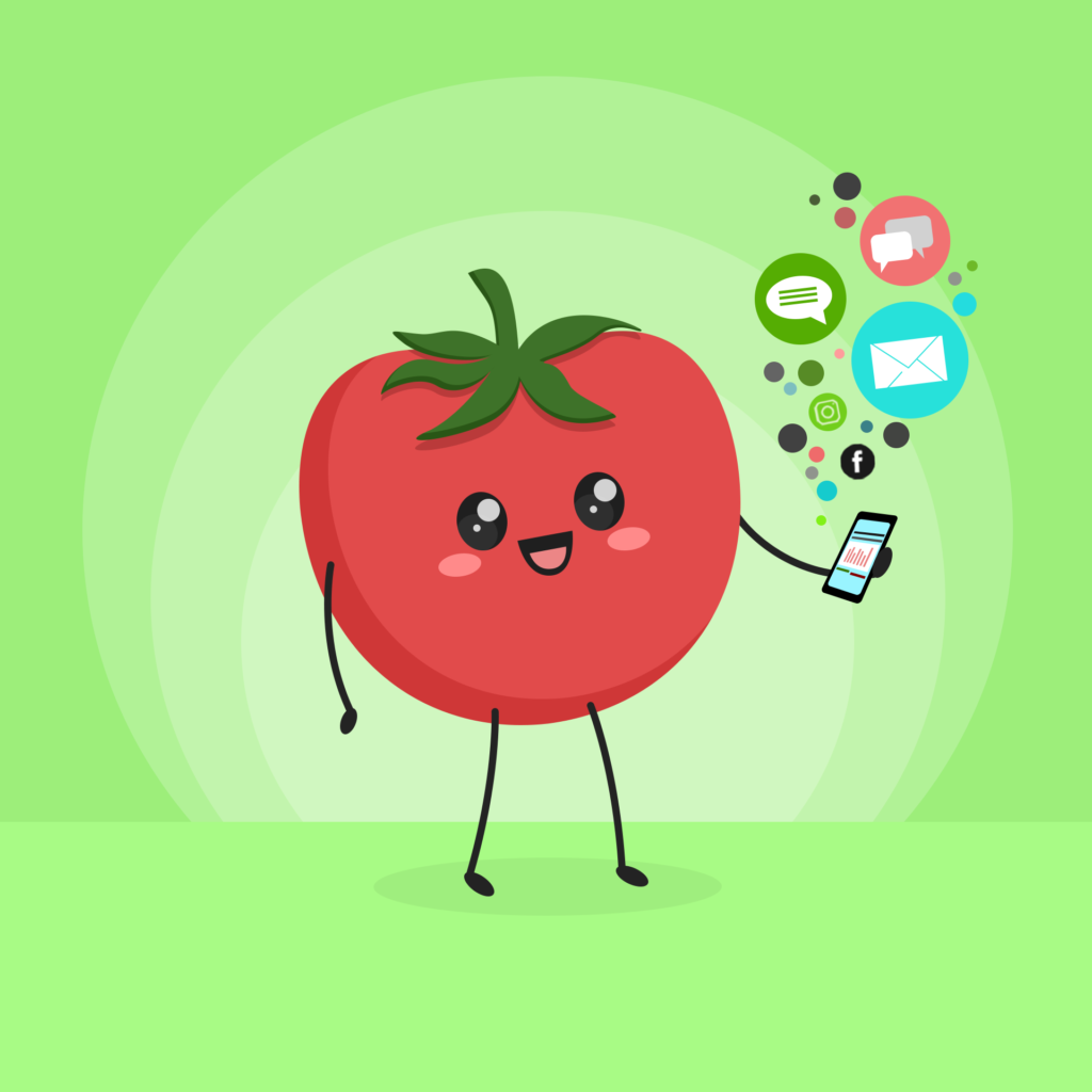 kreativekabbage - Website and Digital Services in Steinbach - Grid-tomato