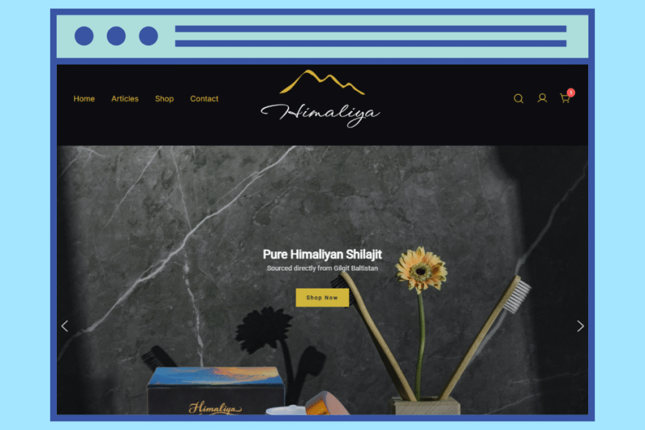 kreativekabbage website and digital services in steinbach featured work himiliya