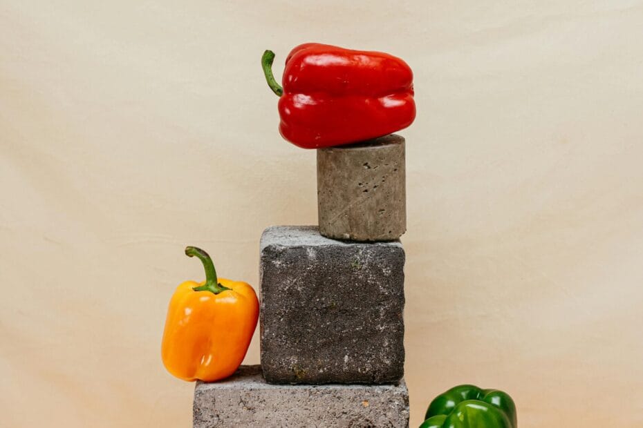 Top 5 Affordable Hosting and Domain Providers for Your Website