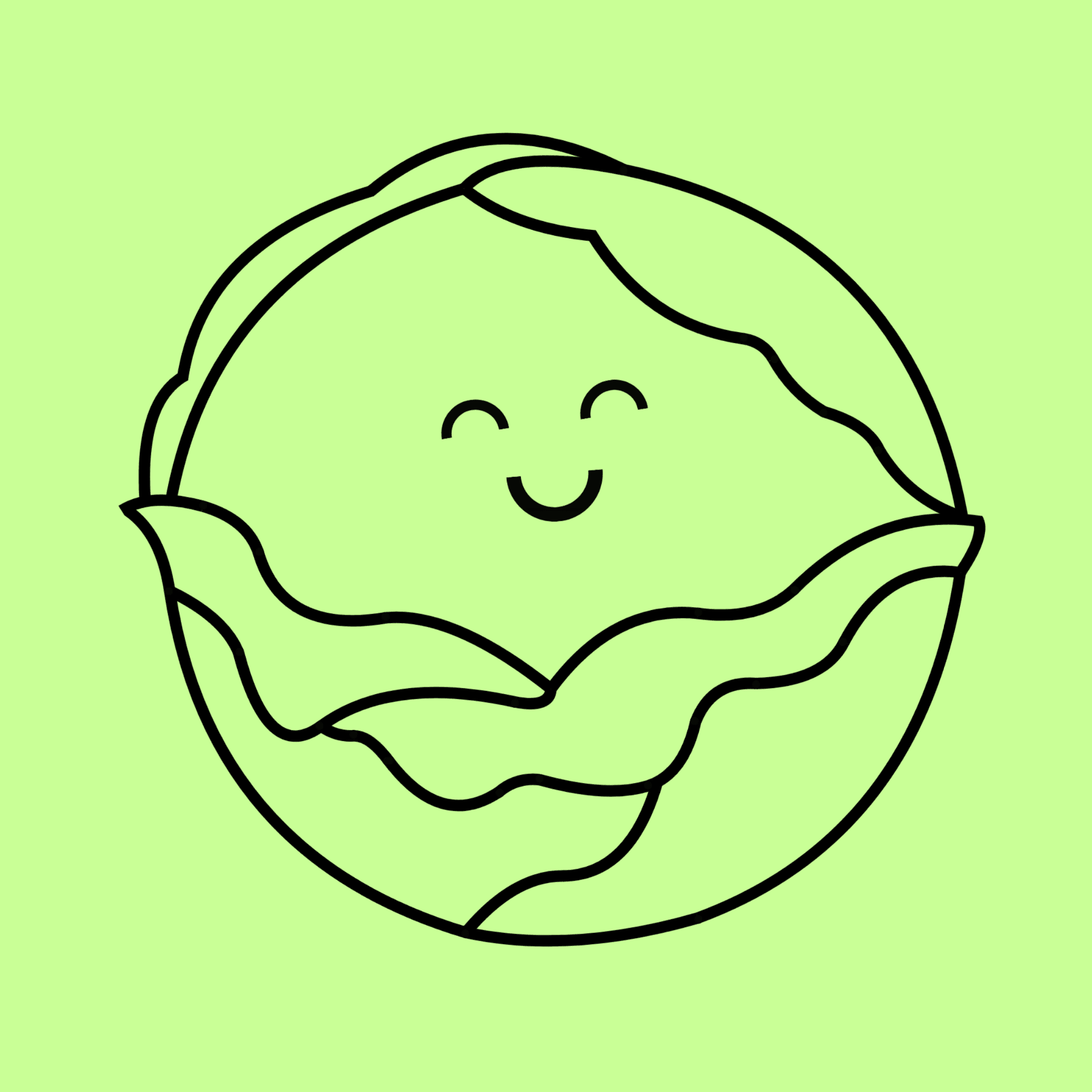 kreativekabbage - Website and custom solutions in Steinbach -Logo.png