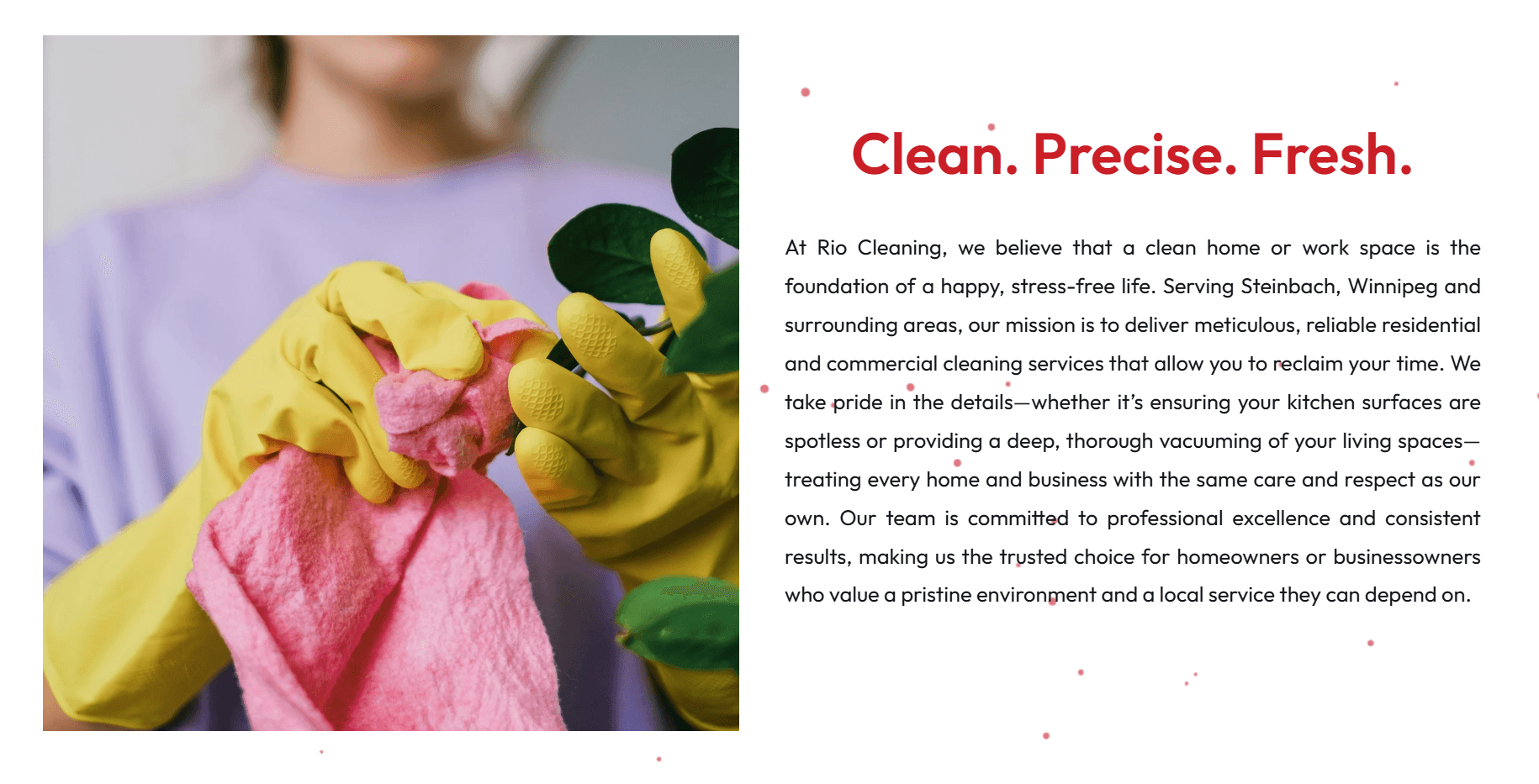 Cleaning company website design and booking system 3