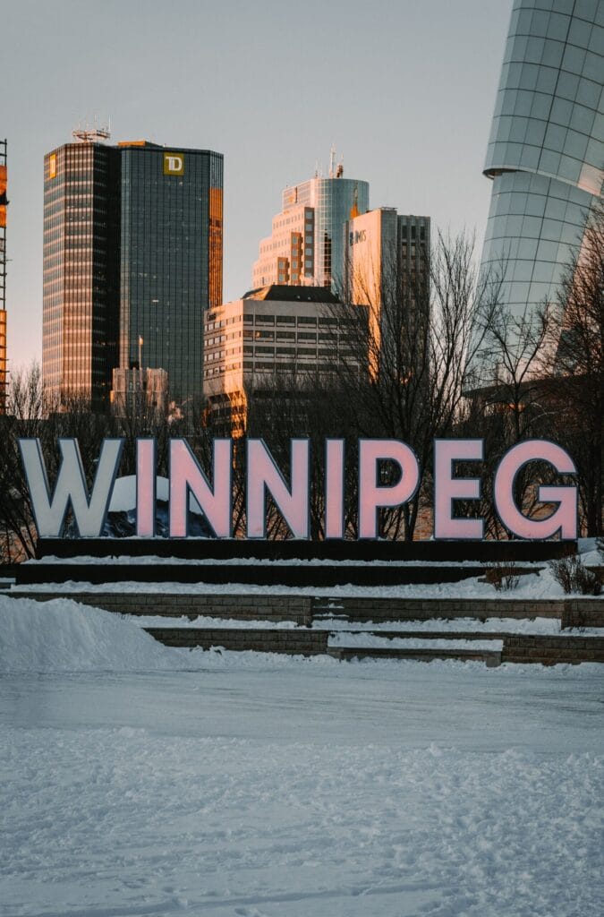 website design Winnipeg businesses actually need