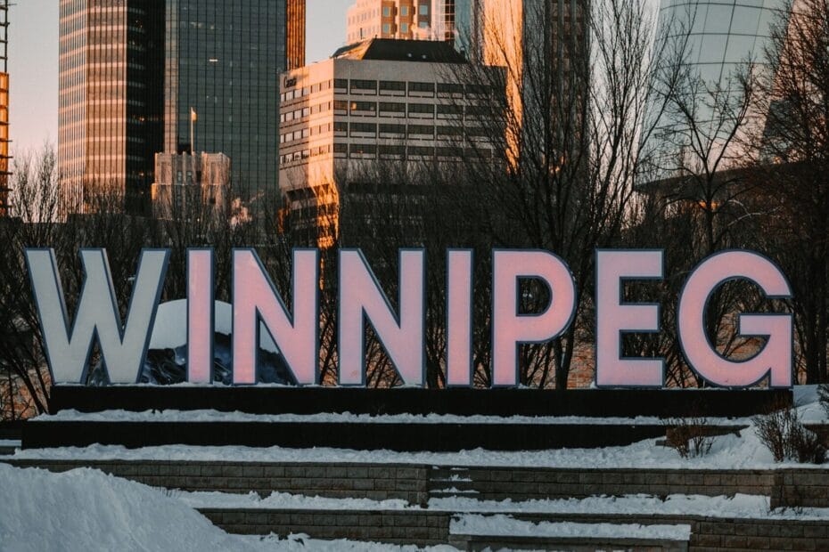 website design Winnipeg businesses actually need